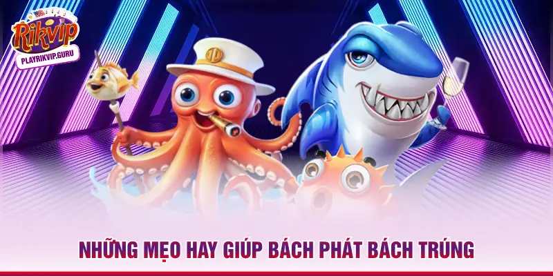 Những mẹo hay giúp bách phát bách trúng